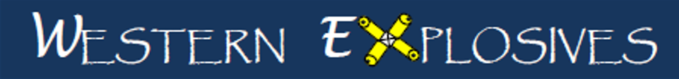 WX Logo